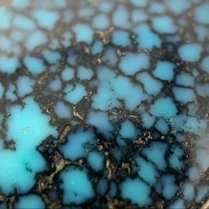 Meet your Posher, Travis